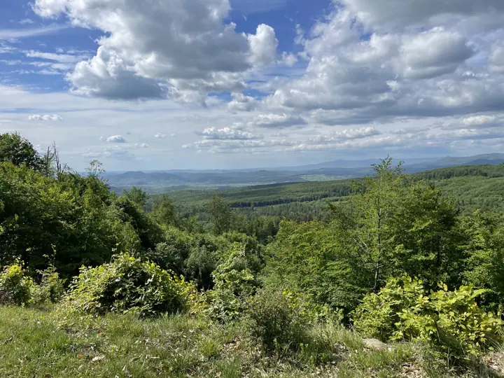 Panorama Văii Gurghiului